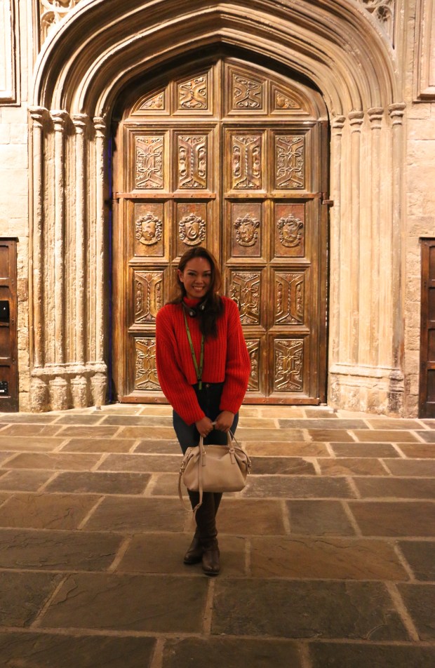 In my House colours in the Great Hall